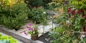 Hassocks Village Garden Trail